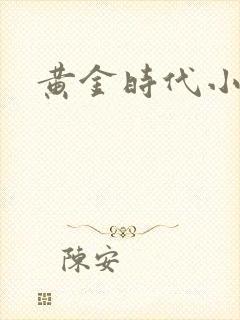 黄金时代小说