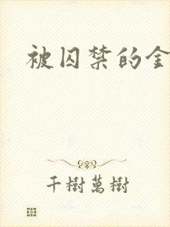 被囚禁的金丝雀