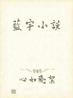 蓝宇小说