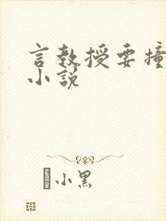 言教授要撞坏了小说