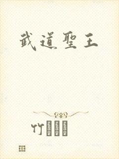 武道圣王
