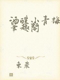 酒酿小青梅po笔趣阁