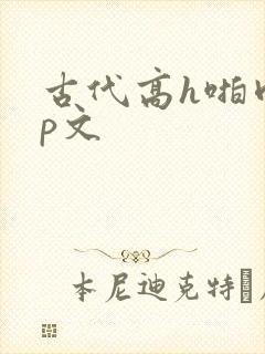 古代高h啪肉np文