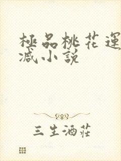 极品桃花运未删减小说