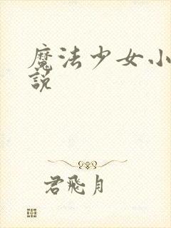 魔法少女小圆小说