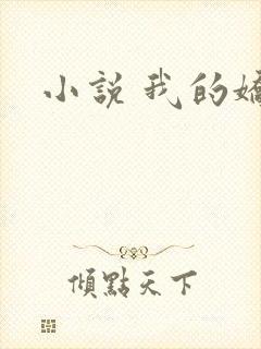小说 我的娇妻