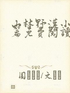 山林野汉小说全篇免费阅读