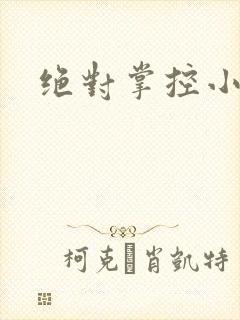 绝对掌控小说