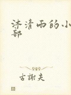 沐清雨的小说全部