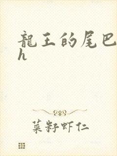 龙王的尾巴高ah