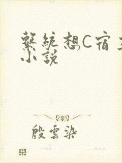 系统想C宿主的小说