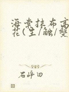 海棠抹布高岭之花(生/触/双)