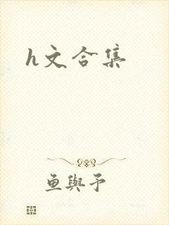 h文合集