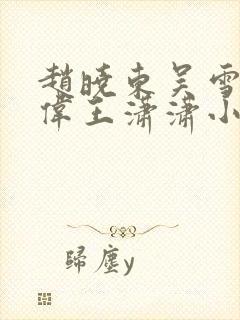 赵晓东吴雪晴郑伟王潇潇小说