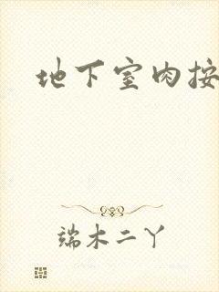 地下室肉按摩椅