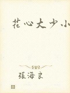 花心大少小说