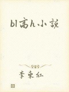bl高h小说