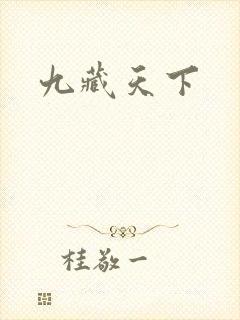 九藏天下