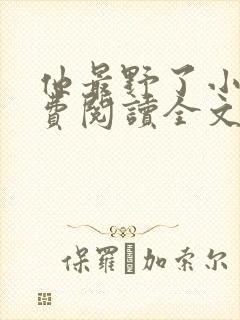 他最野了小说免费阅读全文