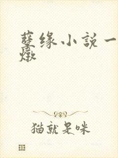 孽缘小说一家乱炖