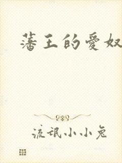 藩王的爱奴