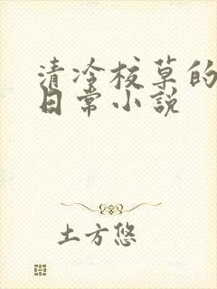 清冷校草的堕落日常小说