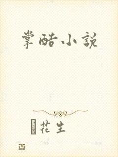 掌酷小说