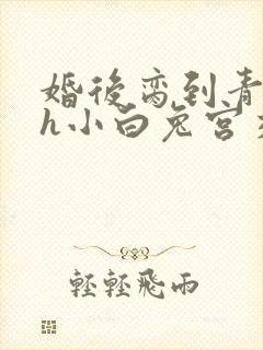 婚后脔到青梅哭h小白兔宫交h