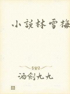 小说林雪梅