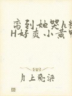 脔到她哭h粗话H好爽小黄鸭视频