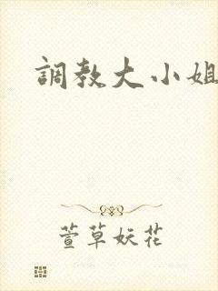 调教大小姐