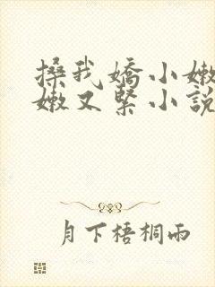 搡我娇小嫩苞又嫩又紧小说