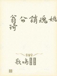 翁公销魂姚瑶琦琦