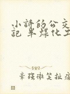小诗的公交车日记 半煤化工