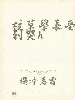 校草学长受被做到哭h