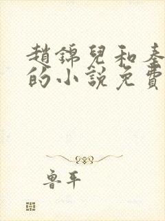 赵锦儿和秦慕修的小说免费阅读全文