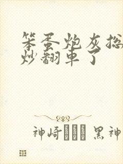 笨蛋炮灰总被爆炒翻车了