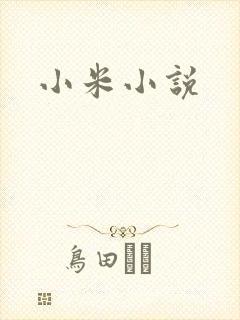 小米小说