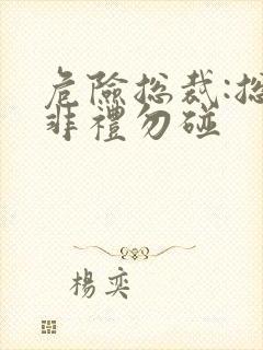 危险总裁:总裁非礼勿碰