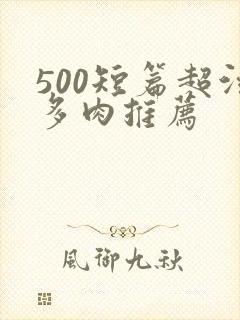500短篇超污多肉推荐