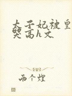 太子妃被皇上c哭高h文