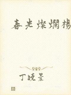 春光灿烂杨家将