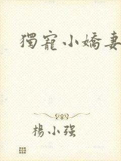 独宠小娇妻