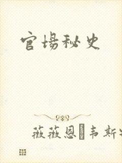 官场秘史