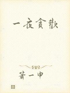 一夜贪欢