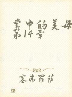 掌中的美母版主第14章