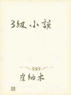 3级小说
