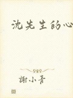 沈先生的心头宝