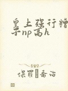 皇上强行糟蹋太子np高h