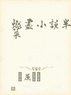 燃尽小说半截白菜